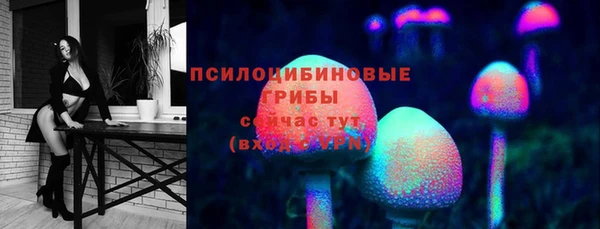 ешки Алзамай