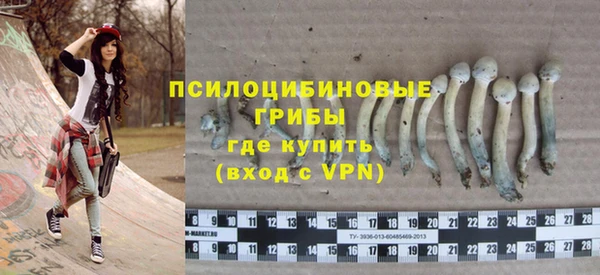 эйфоретик Алексеевка
