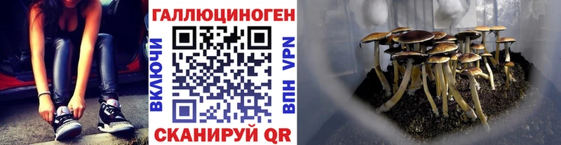 цена наркотик  Геленджик  MEGA сайт  darknet телеграм  Псилоцибиновые грибы GOLDEN TEACHER 