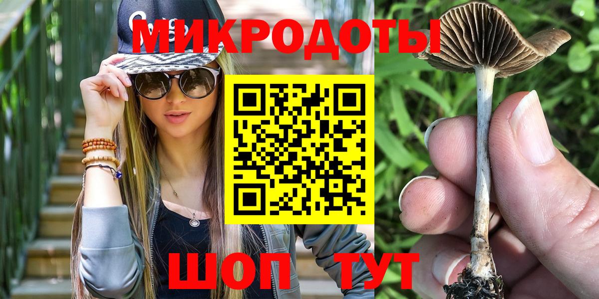 Галлюциногенные грибы Cubensis Геленджик