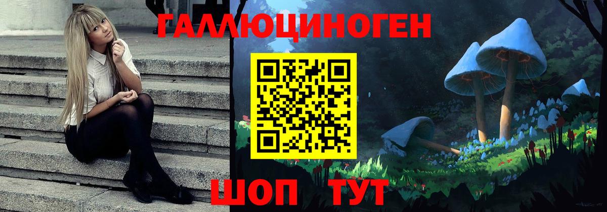 Геленджик  Псилоцибиновые грибы мицелий  Вход с VPN 
